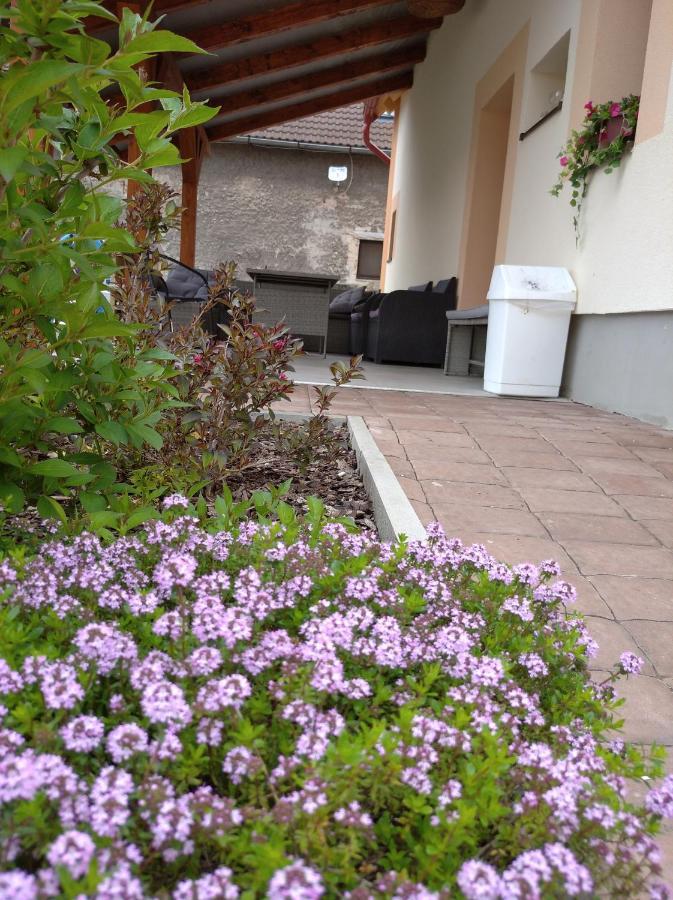 Apartmany Opolany *